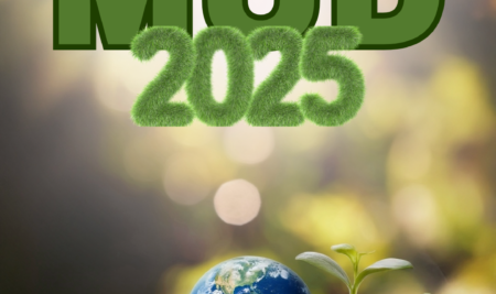 MUD 2025: SCADENZA, DOCUMENTI DI RIFERIMENTO E AGGIORNAMENTI